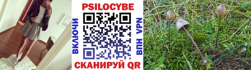маркетплейс состав  KRAKEN ССЫЛКА  Острогожск  Галлюциногенные грибы мухоморы 